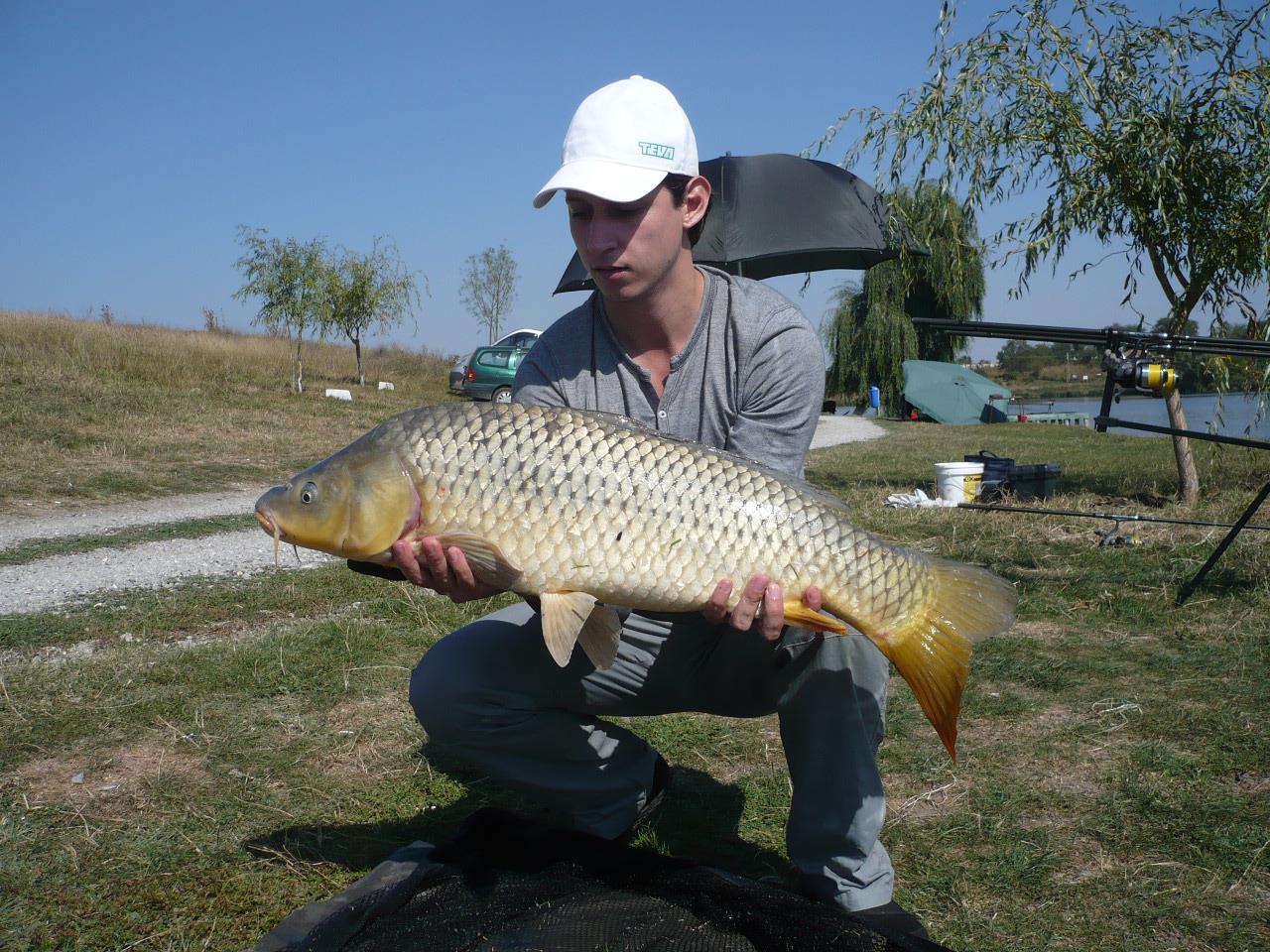 MV 2 - 19 SEPT 2014 - p1020850.JPG